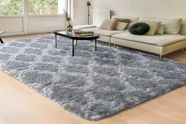 shaggy Rug ideas